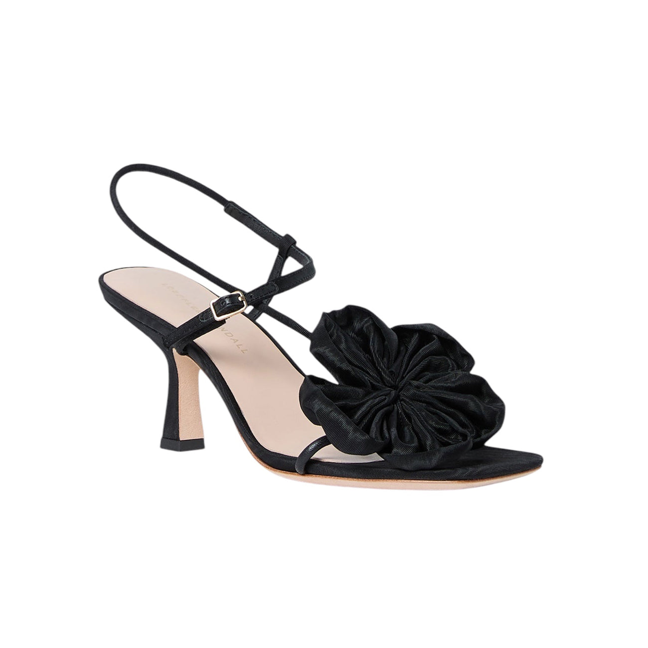 pointytonicheel-chocolat-1.jpg