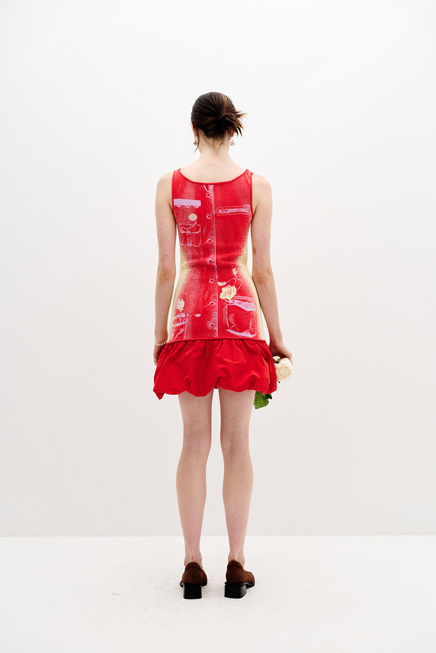DAPHNE REVERSIBLE TANK DRESS